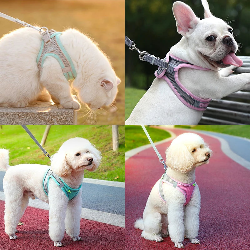 StrideStyle Harness & Leash Set