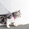 StrideStyle Harness & Leash Set