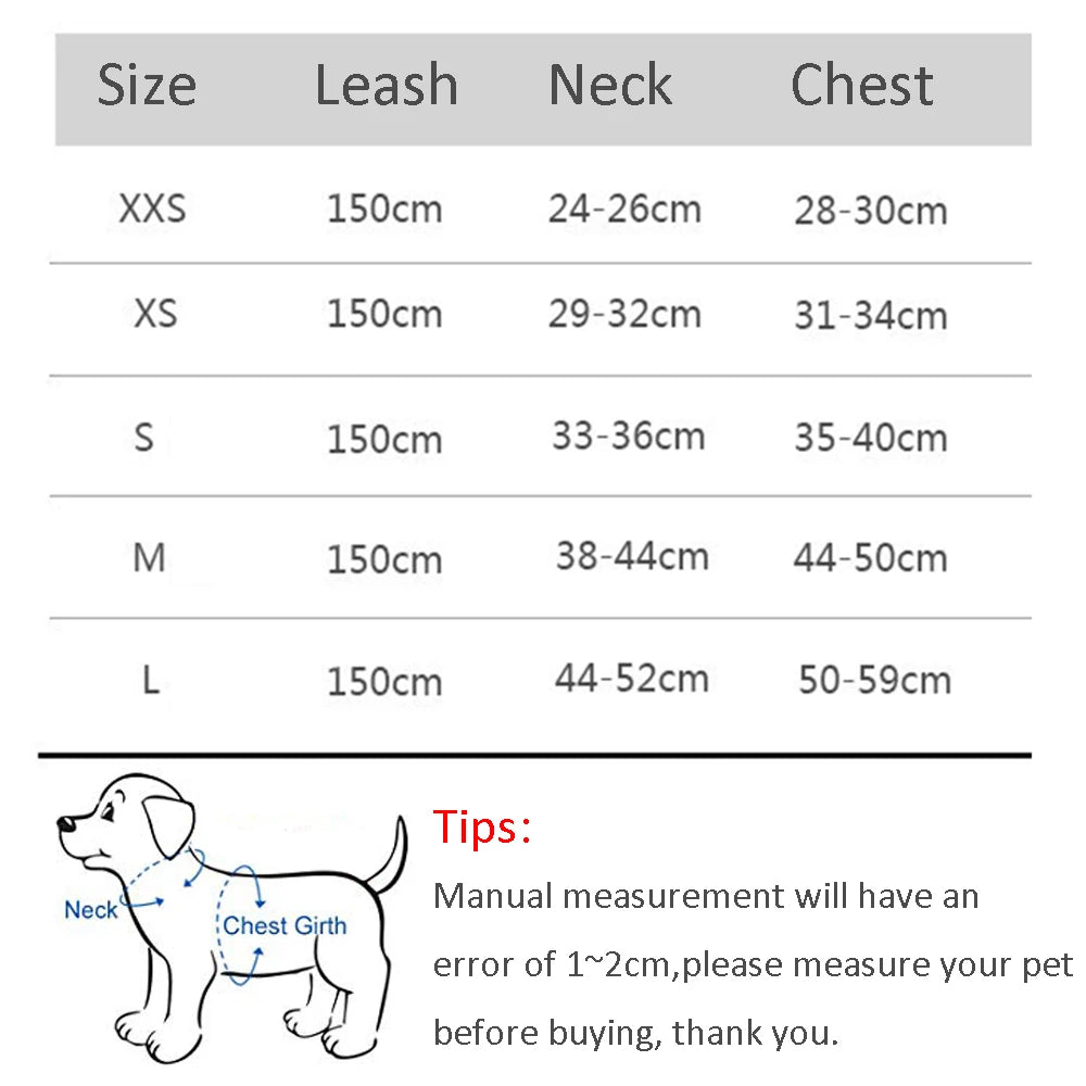 StrideStyle Harness & Leash Set