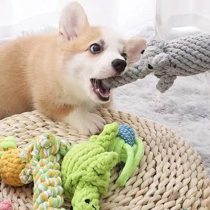 ChewBuddy Rope Toy