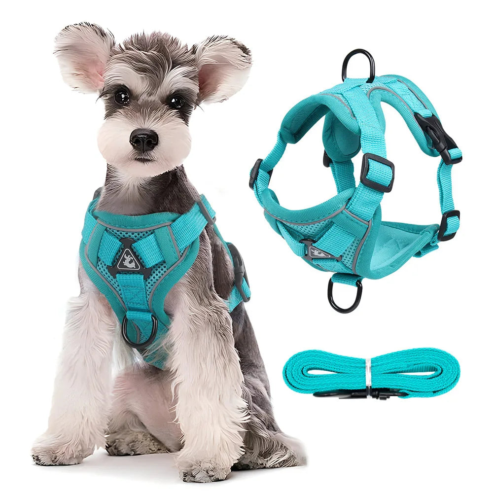 GlowGuard Harness Set